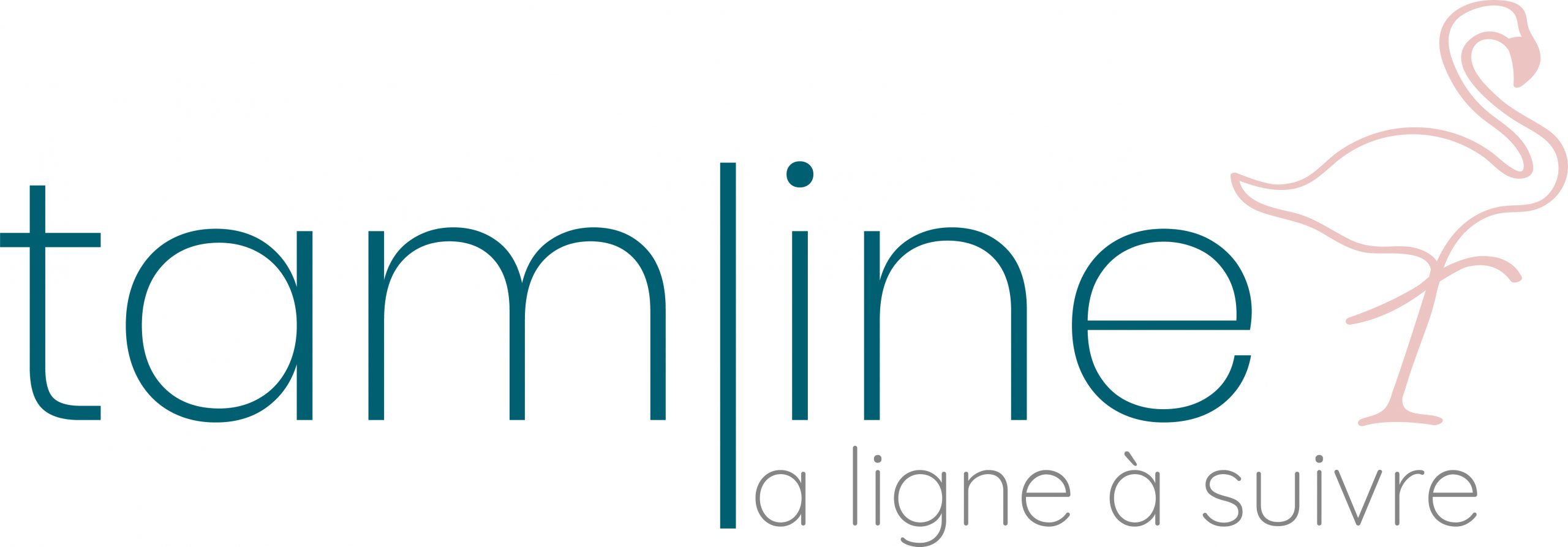 association airelle - logo tamline